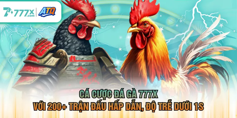 Cá cược đá gà 777X với 200+ trận đấu hấp dẫn, độ trễ dưới 1s