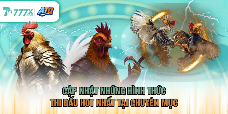Cập nhật những hình thức thi đấu hot nhất tại chuyên mục