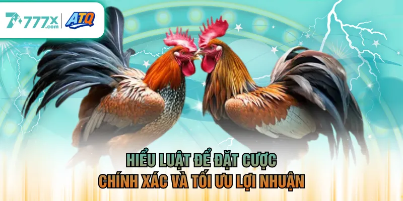 Hiểu luật để đặt cược chính xác và tối ưu lợi nhuận