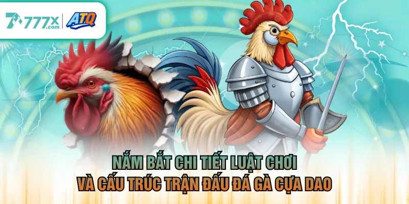 Nắm bắt chi tiết luật chơi và cấu trúc trận đấu đá gà cựa dao